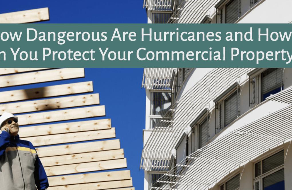 window manufacturers